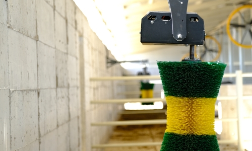 hayvan-kasima-fircalari-2