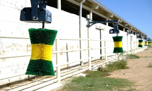 hayvan-kasima-fircalari-7