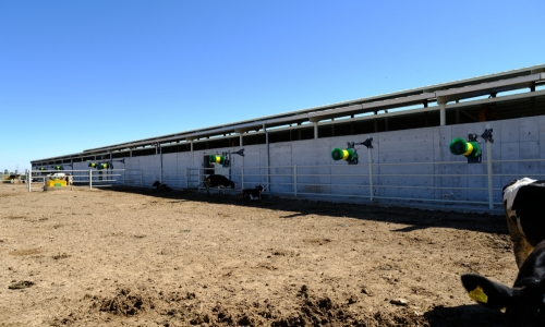 hayvan-kasima-fircalari-9